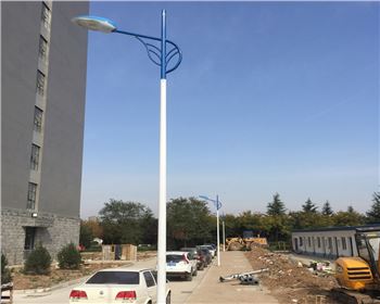 陜西市電路燈-陜西省西安市西北大學(xué)長安校區(qū)路燈工程