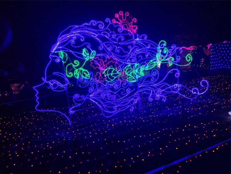 節(jié)日亮化設(shè)計 節(jié)日亮化設(shè)計